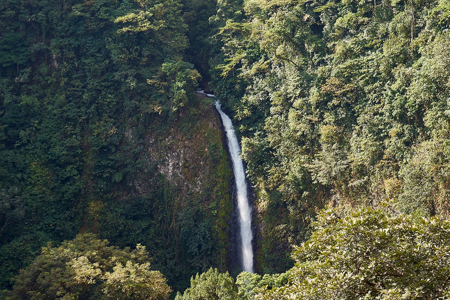 13 luoghi imperdibili in Costa Rica 